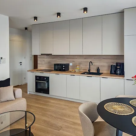 Kairos -atos - Darmowy Parking, Klimatyzacja Apartment Olsztynek